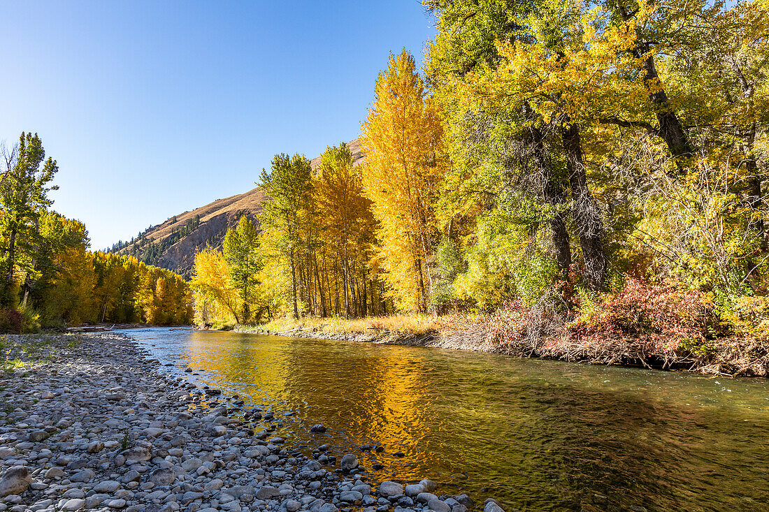 USA, Idaho, Hailey, Big Wood River im Herbst