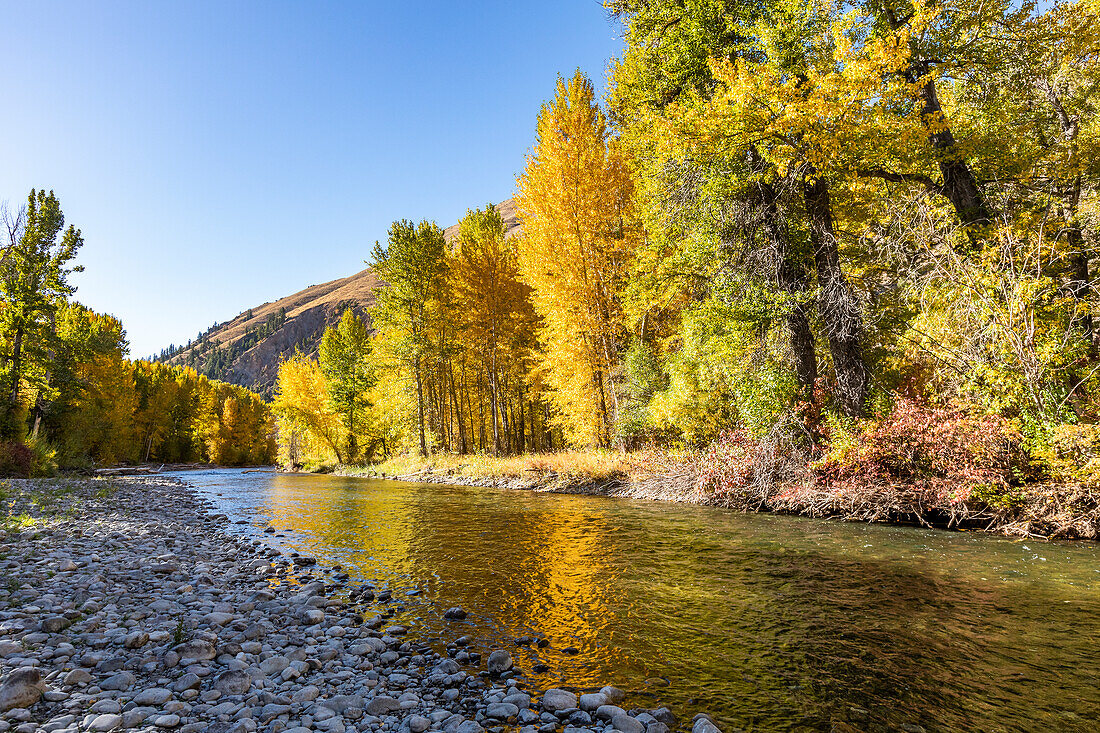 USA, Idaho, Hailey, Big Wood River in fall