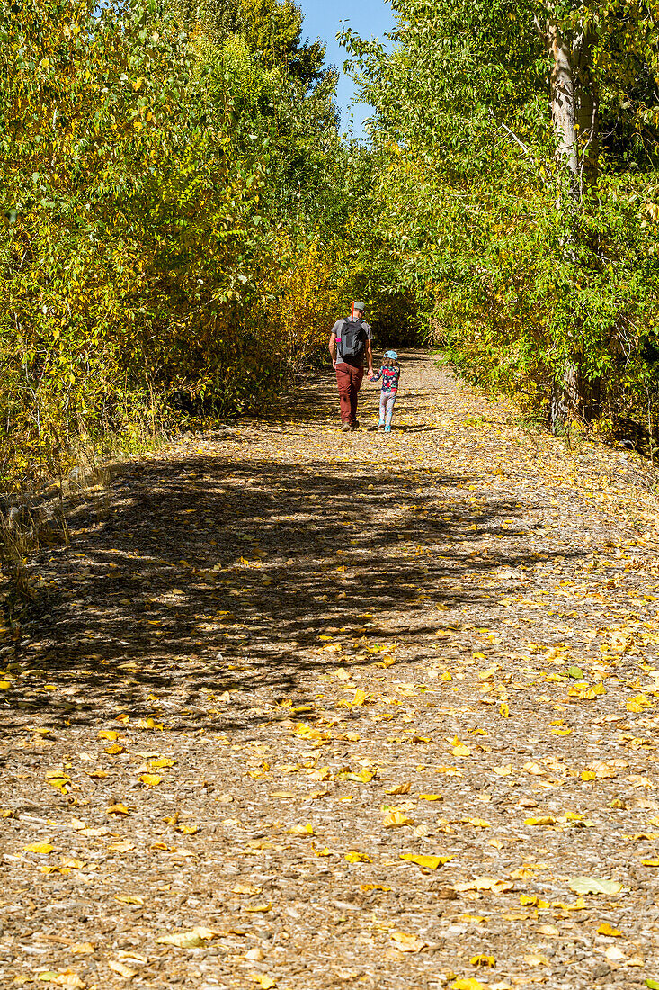 USA, Idaho, Bellevue, Father and daughter (6-7) walk rural path in fall