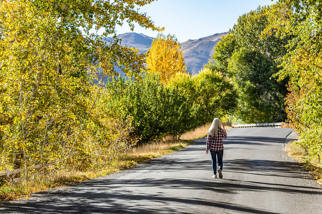USA, Idaho, Bellevue, Ältere Frau geht im Herbst auf einem Feldweg spazieren