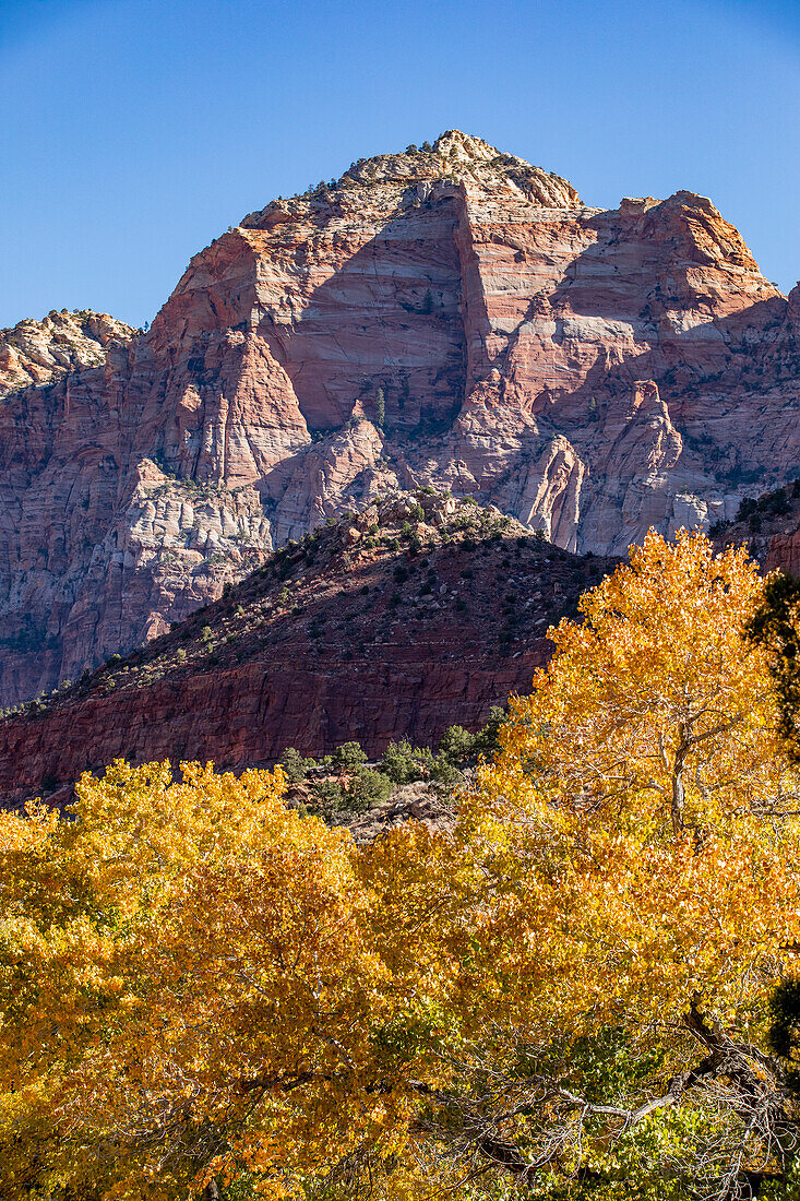 USA, Utah, Zion-Nationalpark, Berge und Herbstlaub