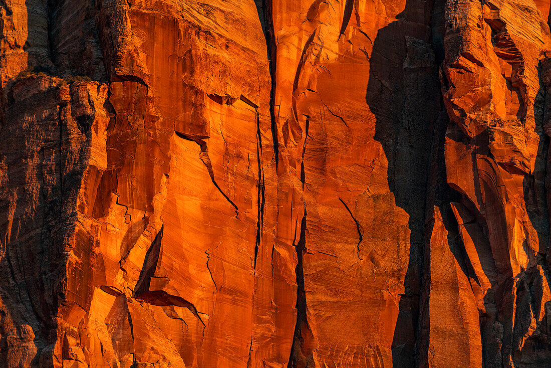 United States, Utah, Zion National Park, Sunset on red cliffs