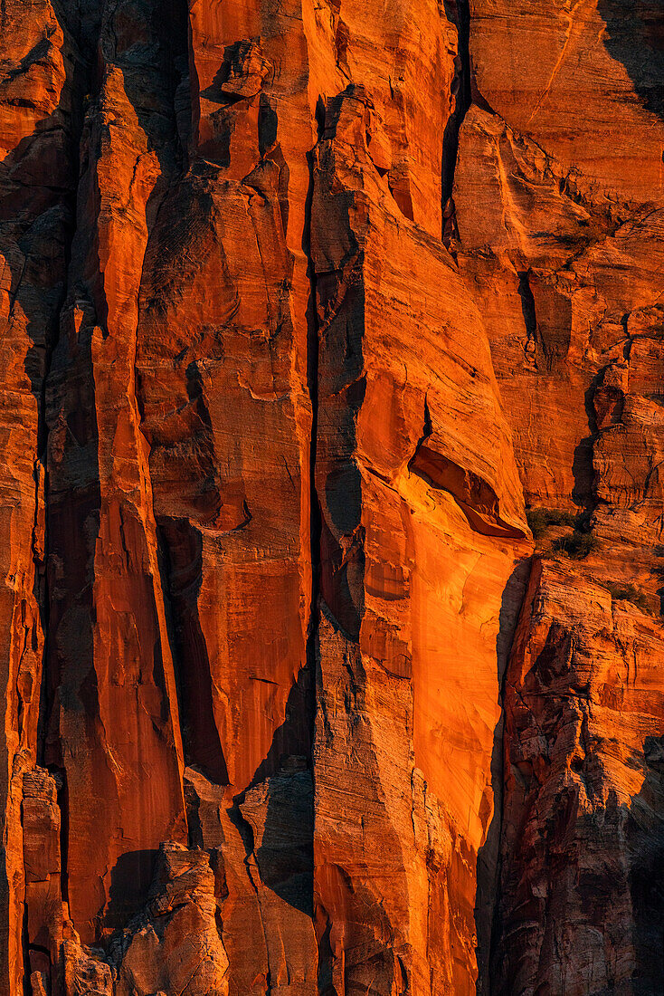 United States, Utah, Zion National Park, Sunset on red cliffs