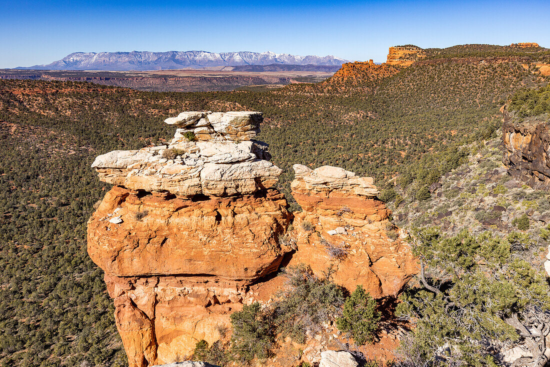 United States, Utah, Zion National Park, Sandstone rock formation
