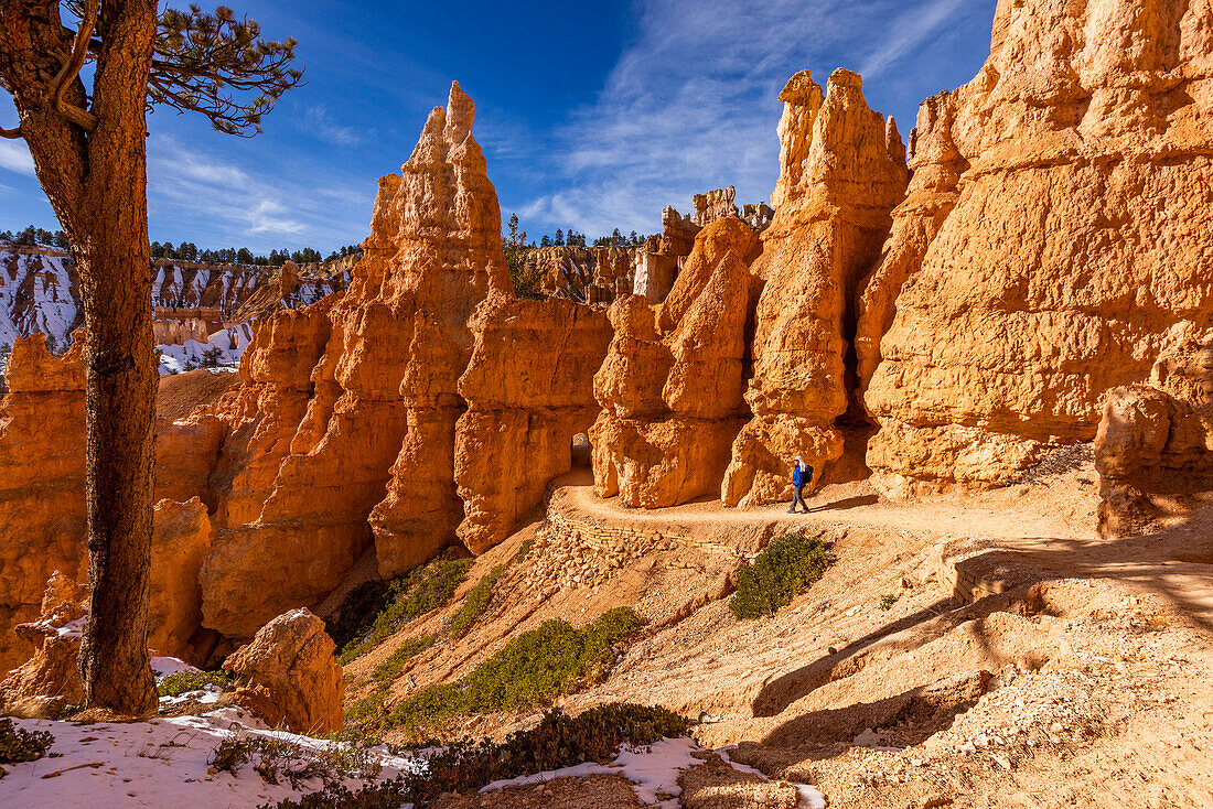 Vereinigte Staaten, Utah, Bryce Canyon National Park, Ältere blonde Frau wandert