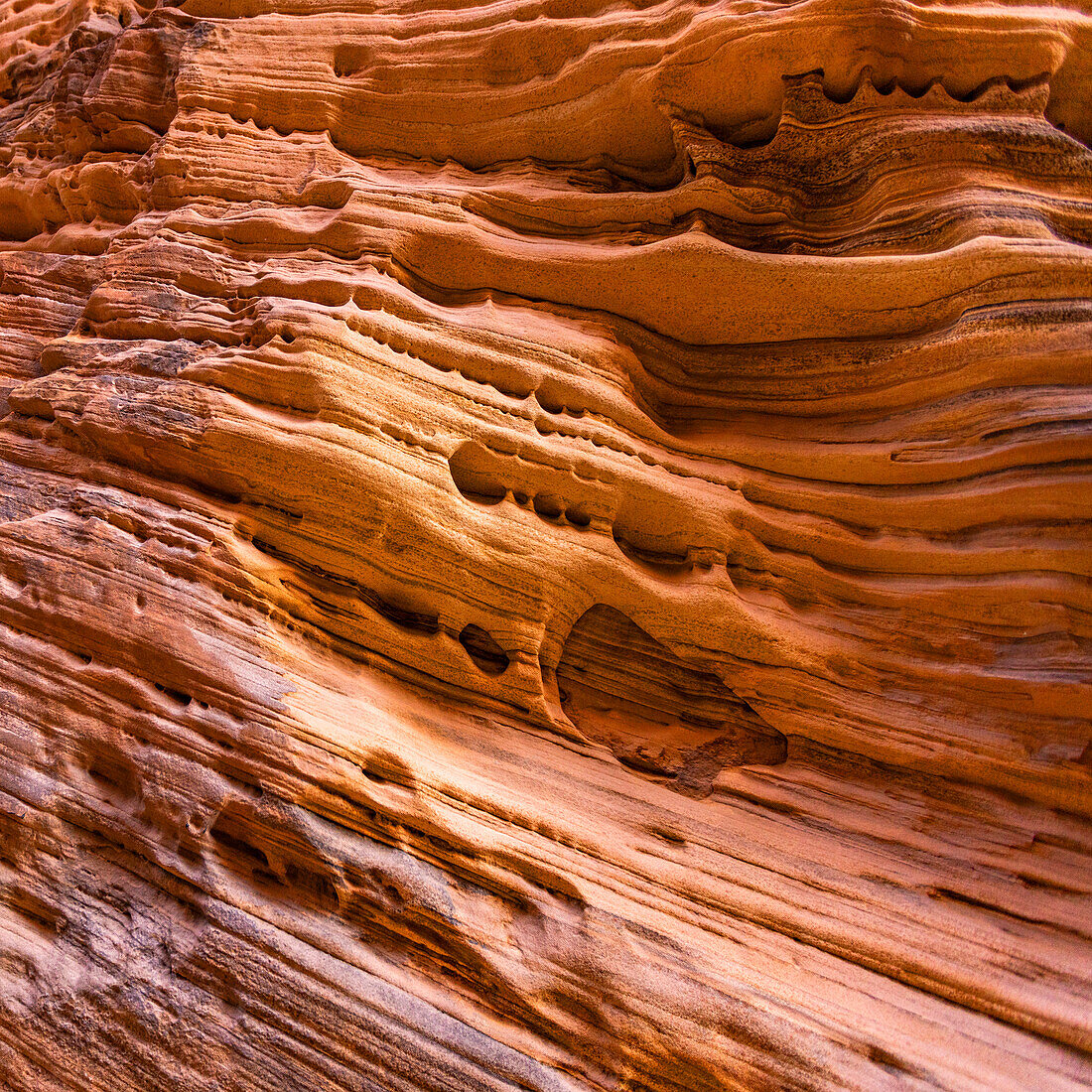 Vereinigte Staaten, Utah, Zion National Park, Muster auf Sandsteinfelsen