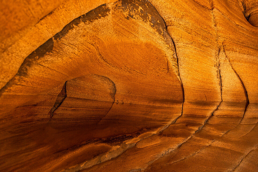 United States, Utah, Zion National Park, Patterns on sandstone rocks