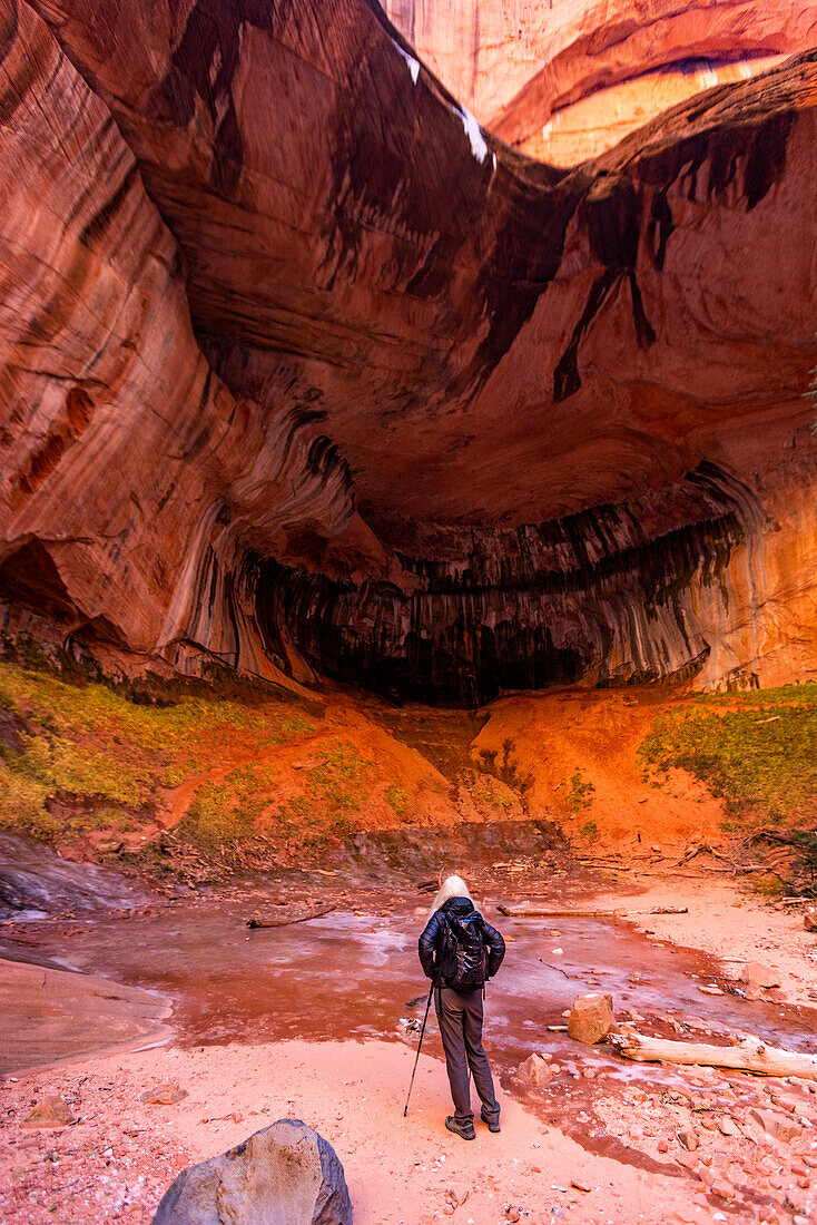 United States, Utah, Zion National Park, Senior blonde woman hiking