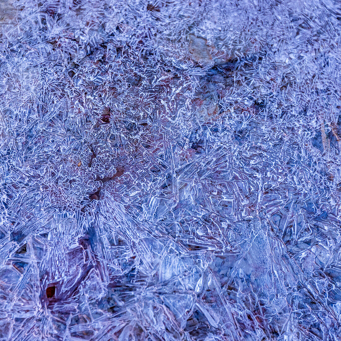 Frozen creek in winter in Zion National Park