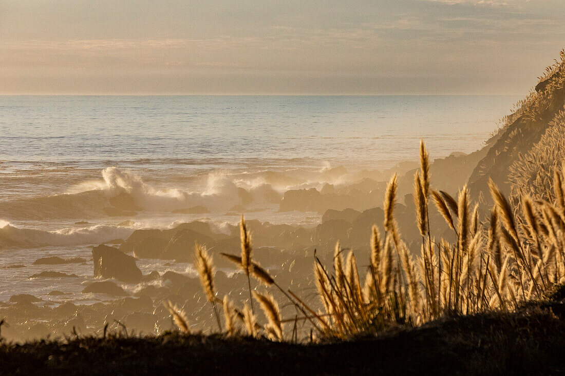 Wellen an der Küste von Big Sur
