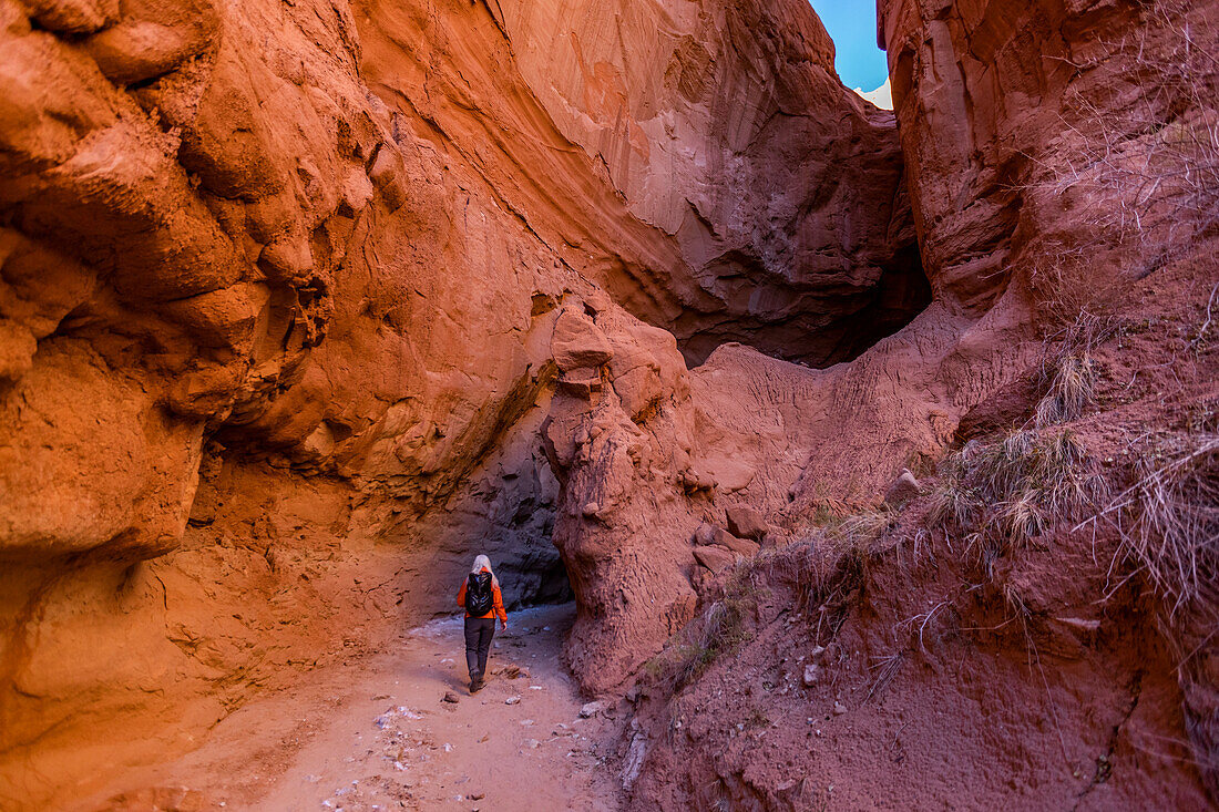 United States, Utah, Escalante, Senior female hiker exploring canyon