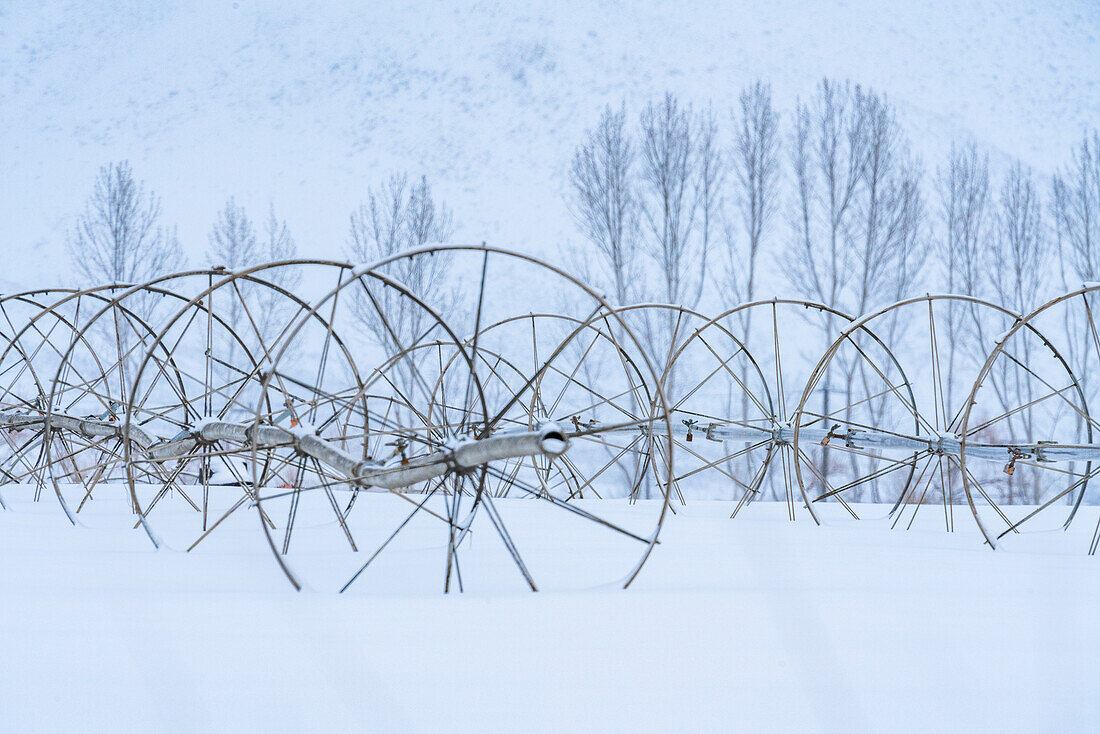 Vereinigte Staaten, Idaho, Bellevue, Bewässerungsanlage im Winterfeld