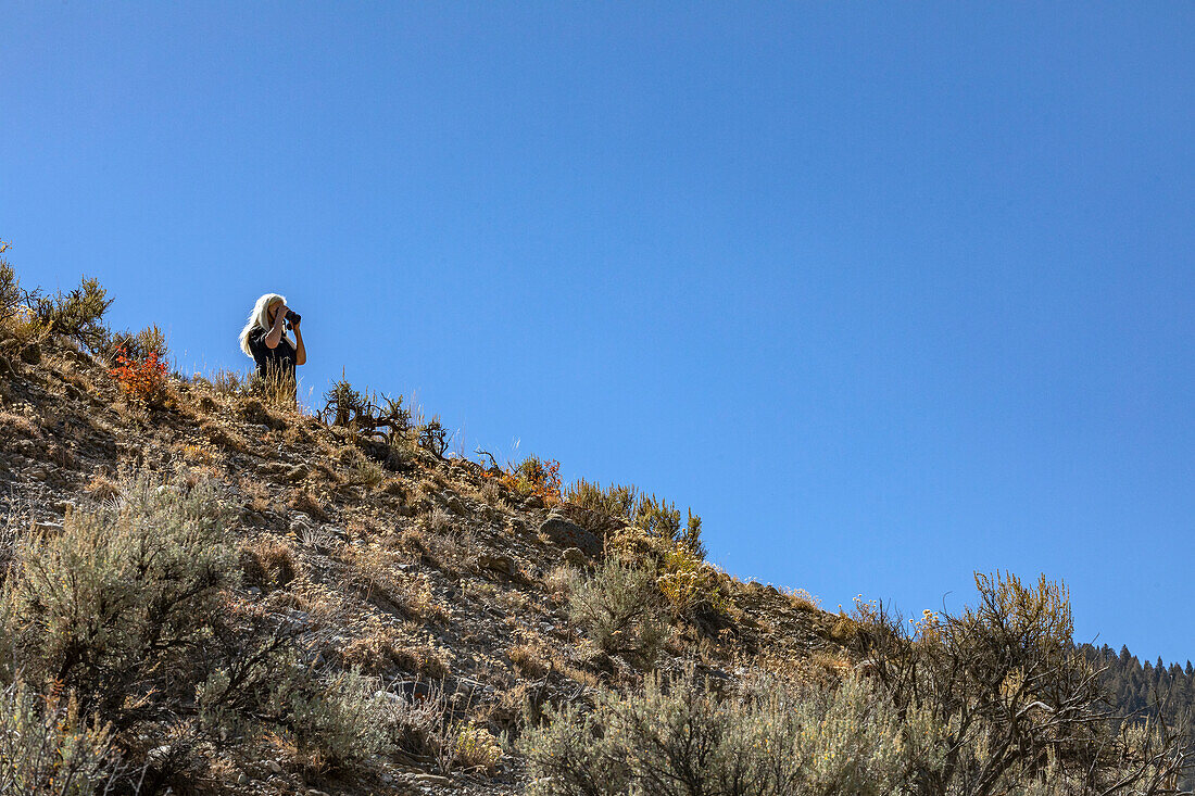 USA, Idaho, Sun Valley, Woman using binoculars in nature 