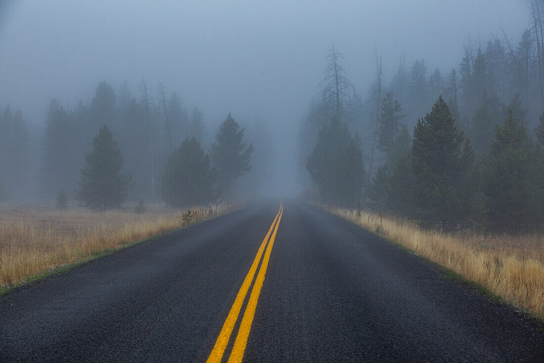 USA, Idaho, Stanley, Doppelter gelb gesäumter Highway führt in nebligen Wald
