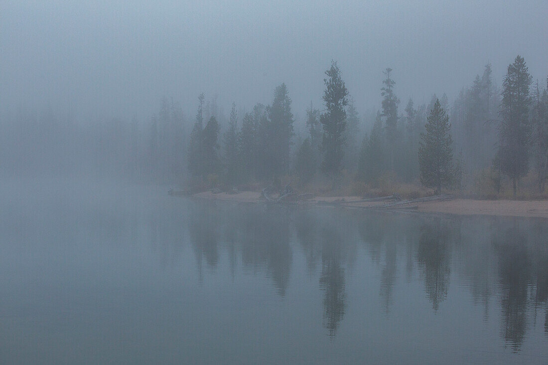 USA, Idaho, Stanley, Trees reflection in lake at foggy autumn day