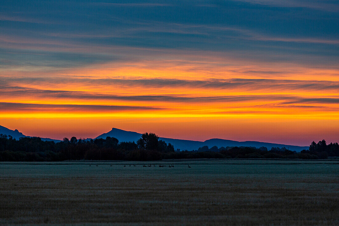 USA, Idaho, Bellevue, Sky at sunrise over foothills 