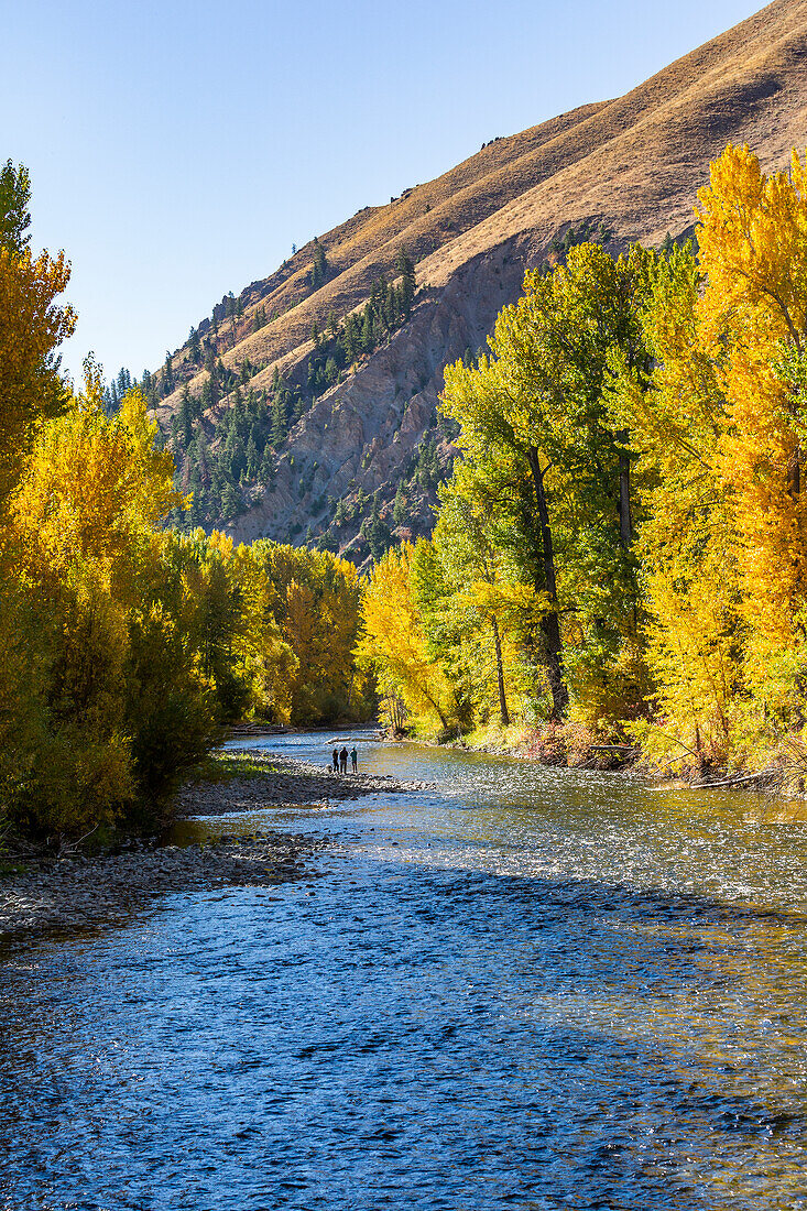 USA, Idaho, Hailey, Distant view of family admires fall along river in autumn