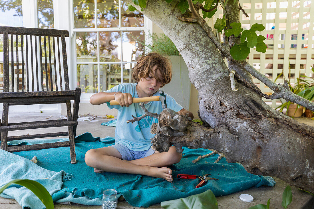 Boy (8-9) using hammer to build treehouse