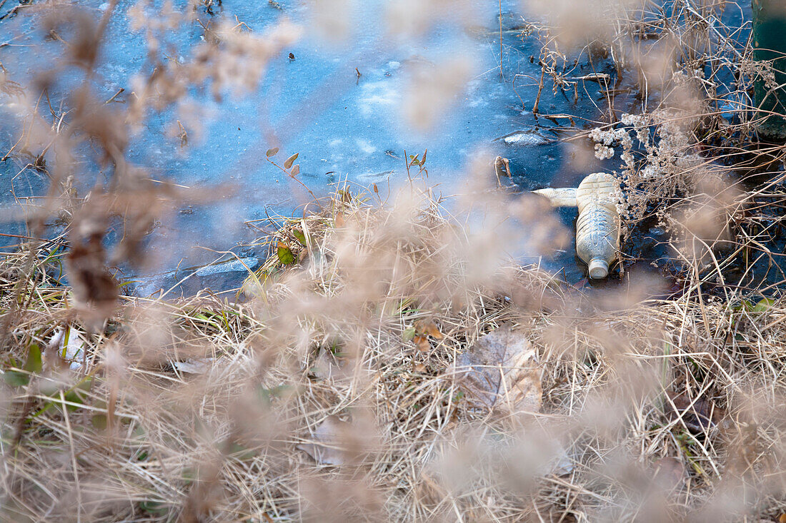 Litter by stream bank