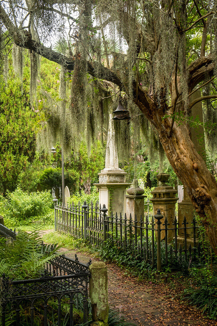 Old church graveyard with lush foliage