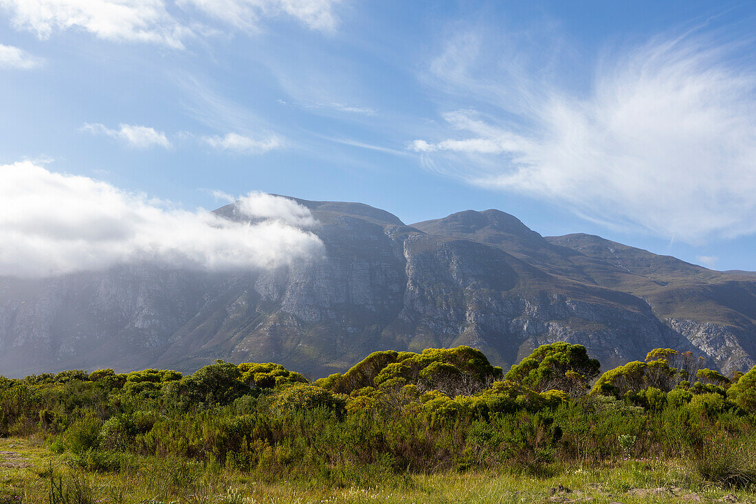 Südafrika, Stanford, Klein-Berge und grünes Laub