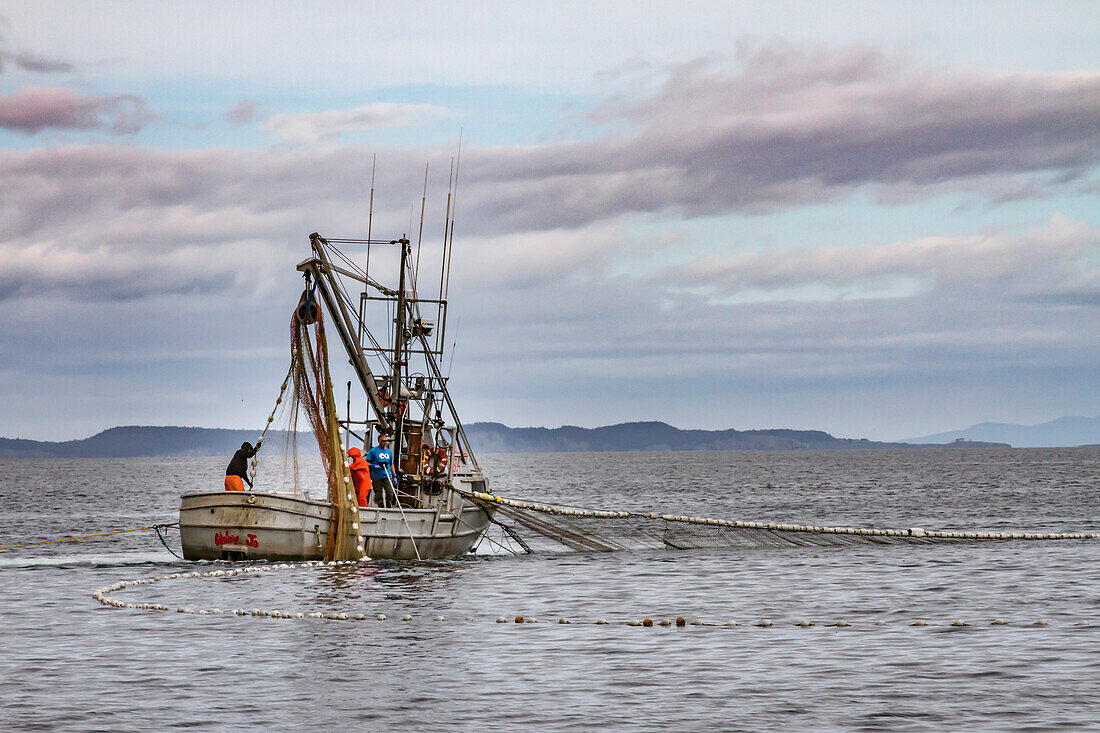 USA, Alaska, Kodiak, Chiniak Bay. Commercial fishing for salmon near a beach on Kodiak Island.