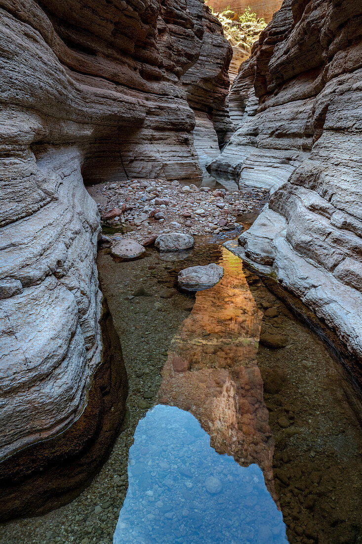 USA, Arizona. Reflections in Matkatamiba Canyon, Grand Canyon National Park.