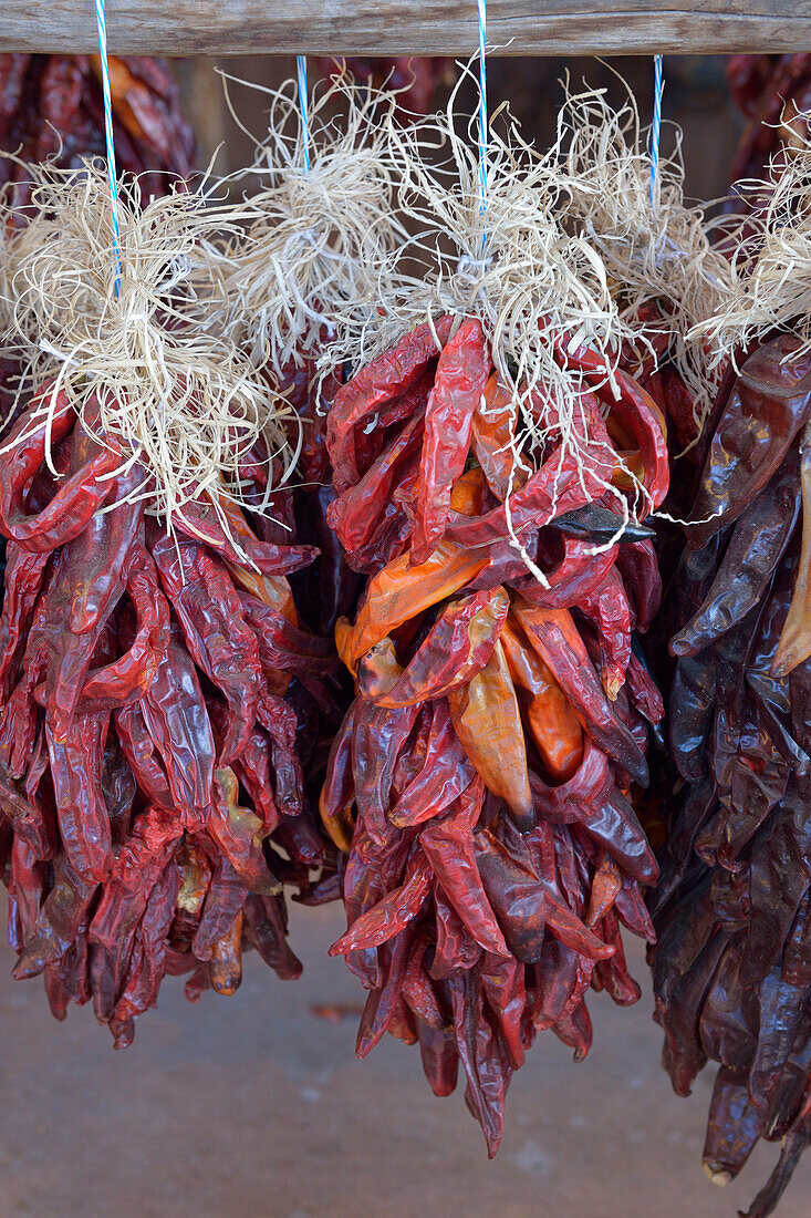 USA, Arizona, Sedona. Hanging dried chili peppers