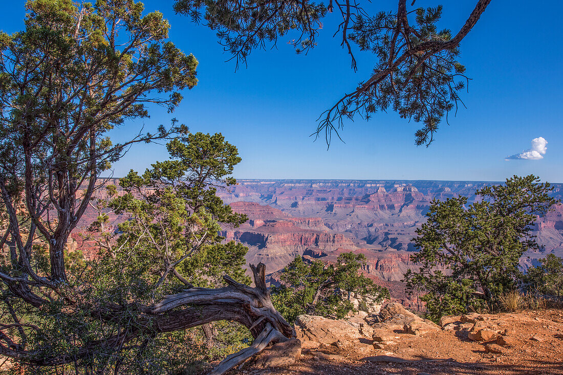 USA, Arizona, Grand-Canyon-Nationalpark Südlicher Rand