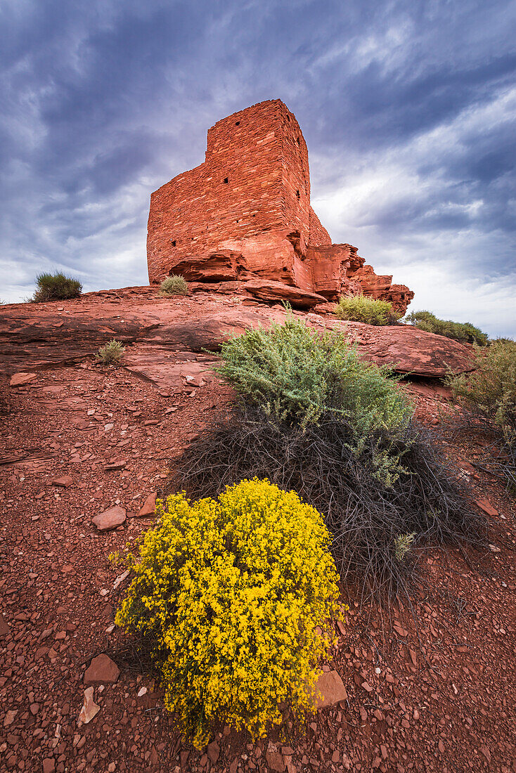 Abendlicht auf der Wukoki-Ruine, Wupatki National Monument, Arizona