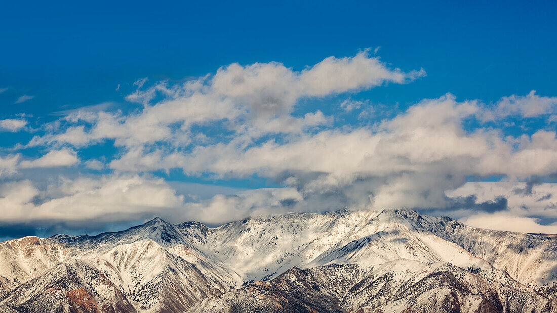 USA, California, Eastern Sierra, White Mountains near Bishop