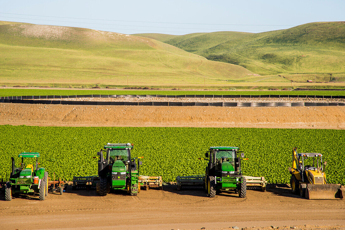USA, California. No Water No Life, California Drought Expedition 4, Agricultural fields outside King City