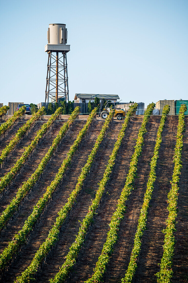 USA California. No Water No Life, California Drought Expedition 5. Farmland off US1 (Pacific Coast Highway, PCH), crops and water tower