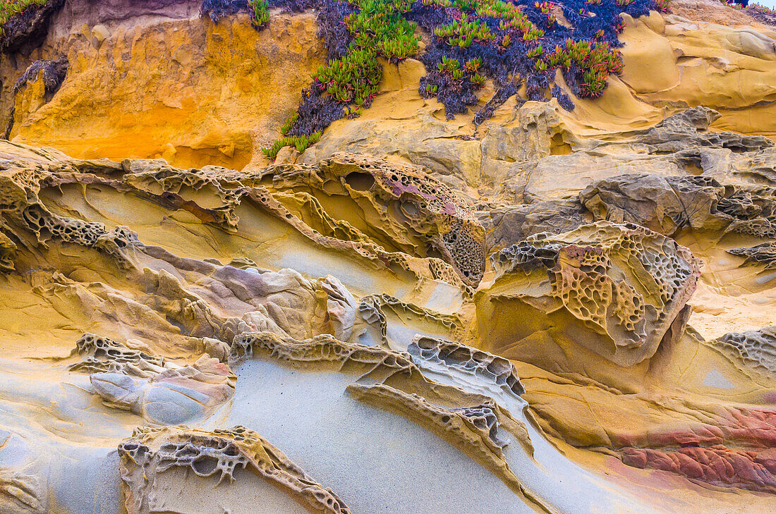 Felsformationen am Bean Hollow Beach, Kalifornien, USA