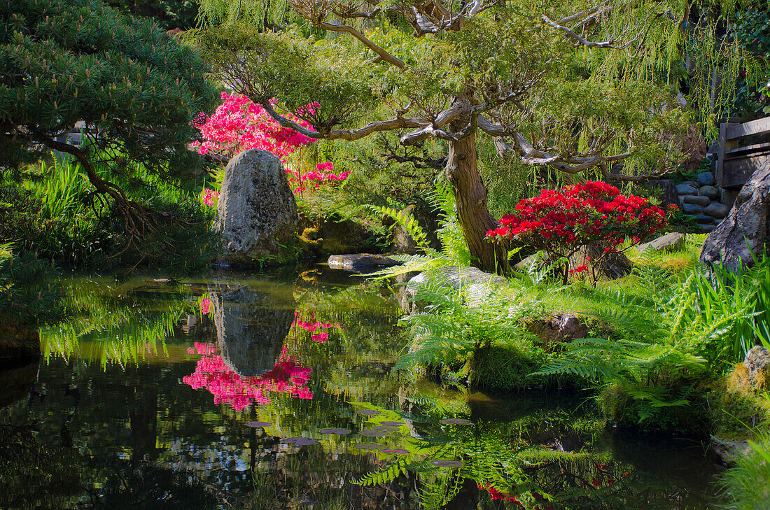 Japanischer Teegarten, Golden Gate Park, San Francisco, Kalifornien, USA
