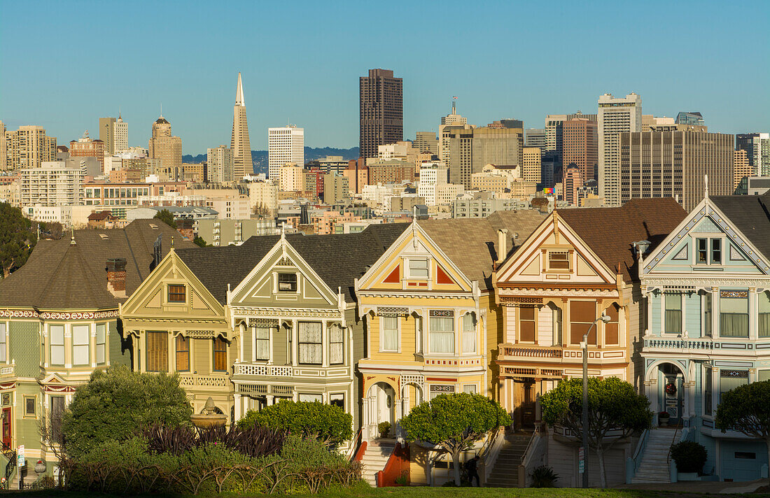 San Francisco, California, Painted Ladies, Victorian homes and city in background at Alamo Square at Hayes Street and Steiner Street
