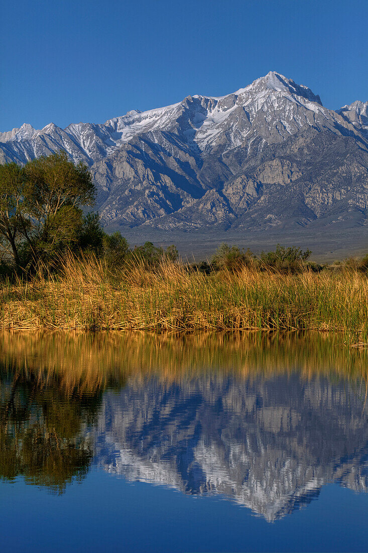 USA, California, Sierra Nevada Mountains. Mt. Williamson reflects in lake
