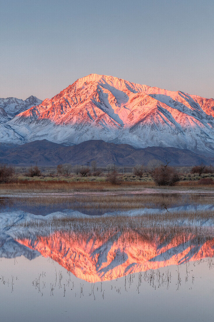 USA, California, Bishop. Sierra Crest reflects in Farmer's Pond at sunrise