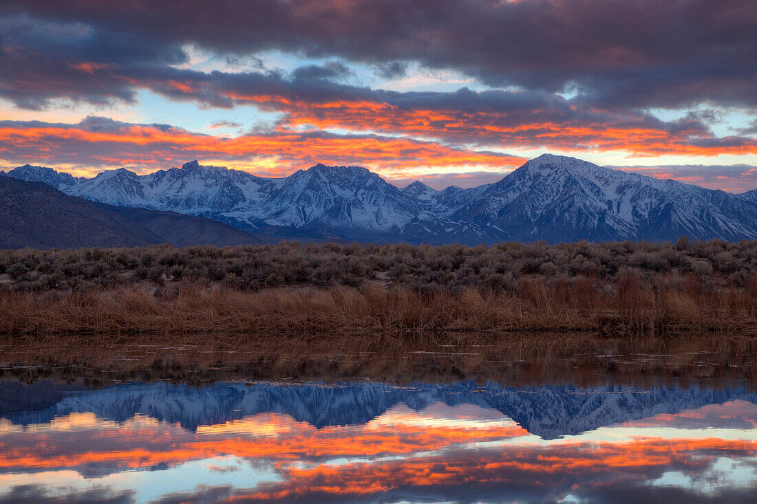 USA, California, Sierra Nevada Range. Sierra Crest seen from Buckley Ponds at sunset