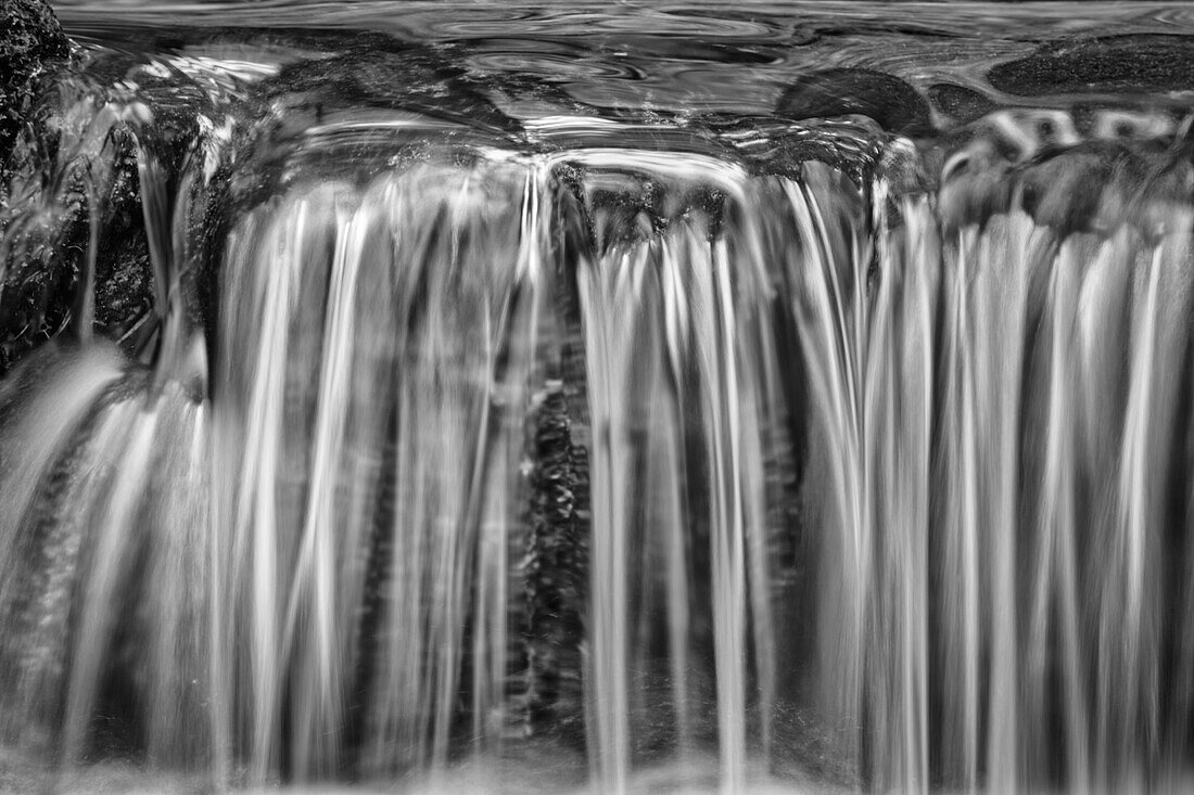 USA, California, Yosemite, Fern Spring