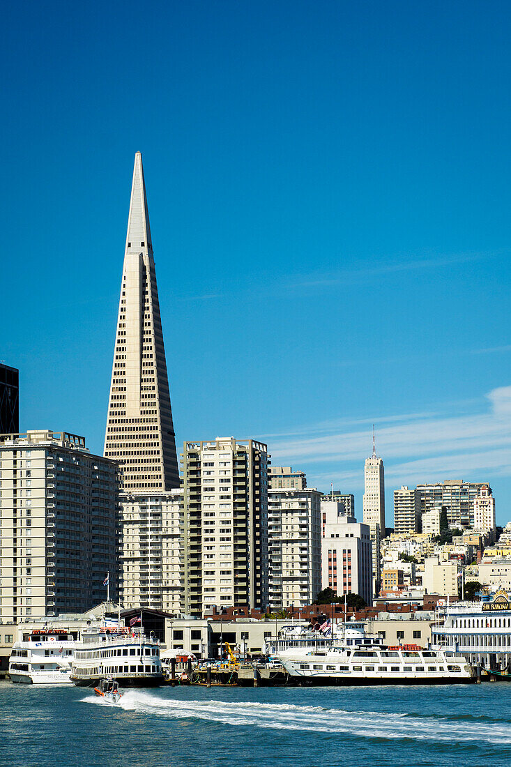 USA, Kalifornien, San Francisco. Skyline mit Transamerica Gebäude prominent.