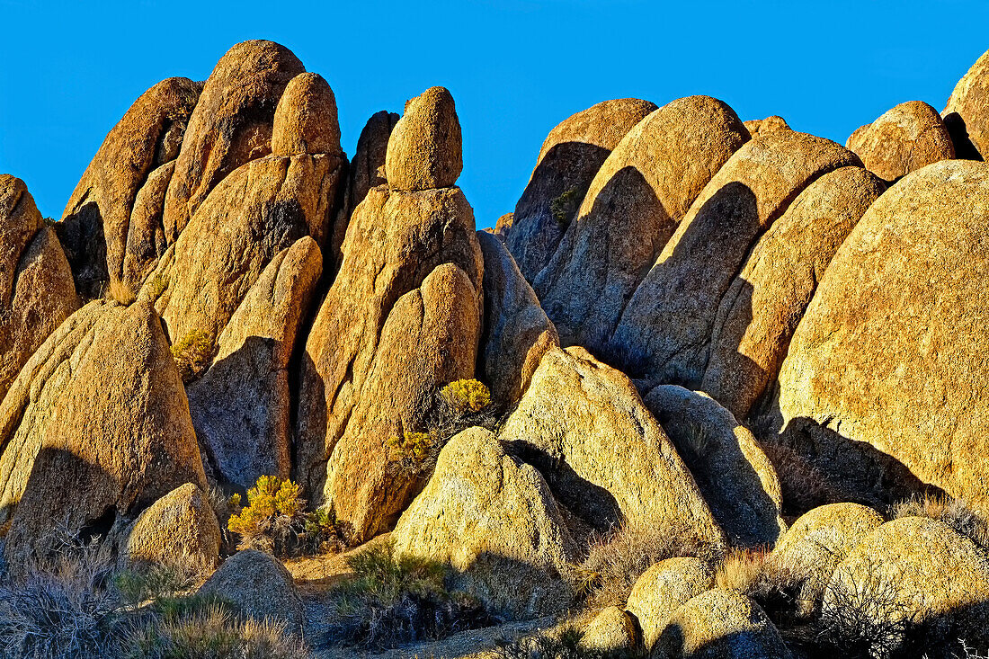 USA, Alabama Hills, California. Long Pine