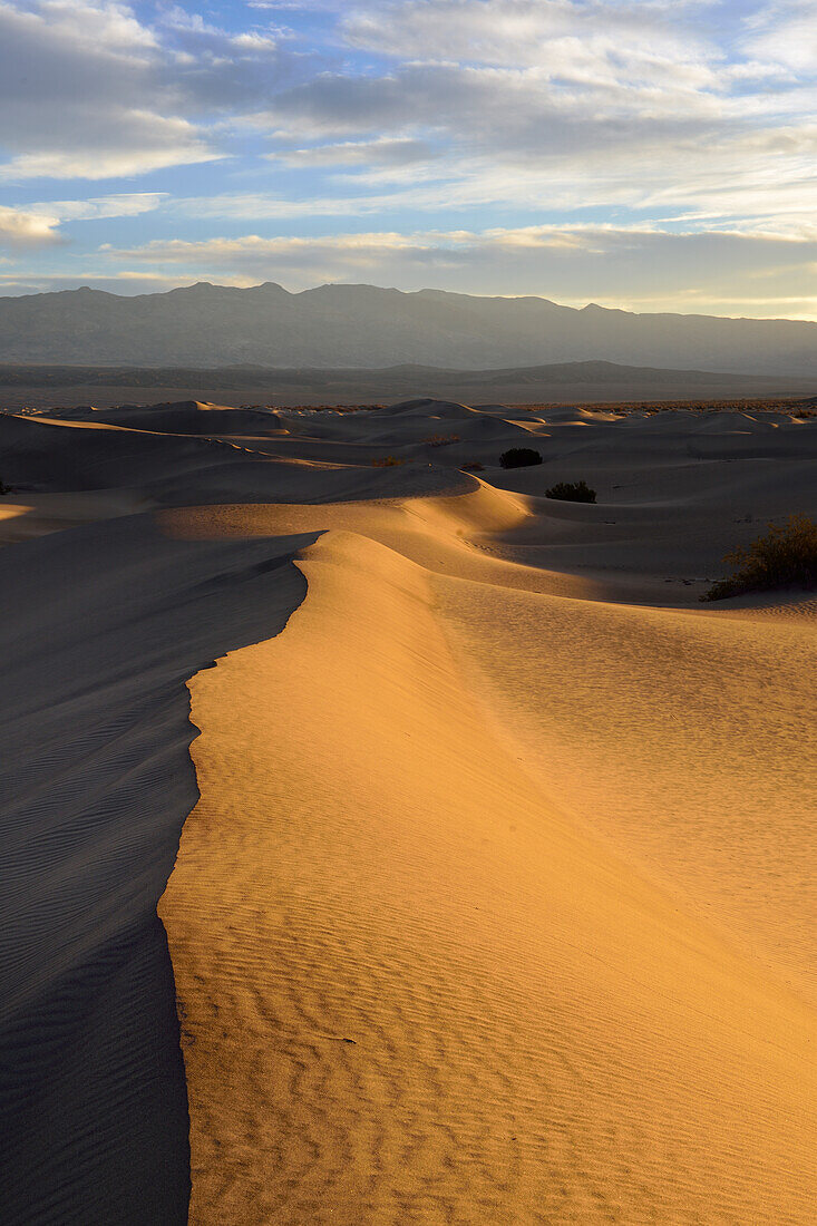 USA, California, Death Valley National Park, Mesquite Flat Sand Dunes at sunrise.