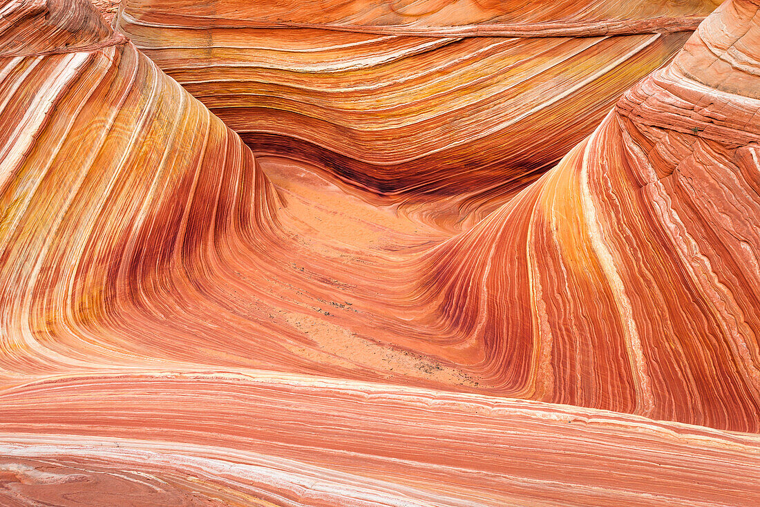 Die Welle, Coyote Buttes, Paria-Vermilion Cliffs Wilderness, Arizona, USA