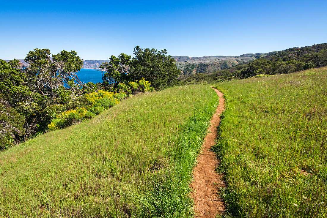 Pelican Bay trail, Santa Cruz Island, Channel Islands National Park, California, USA