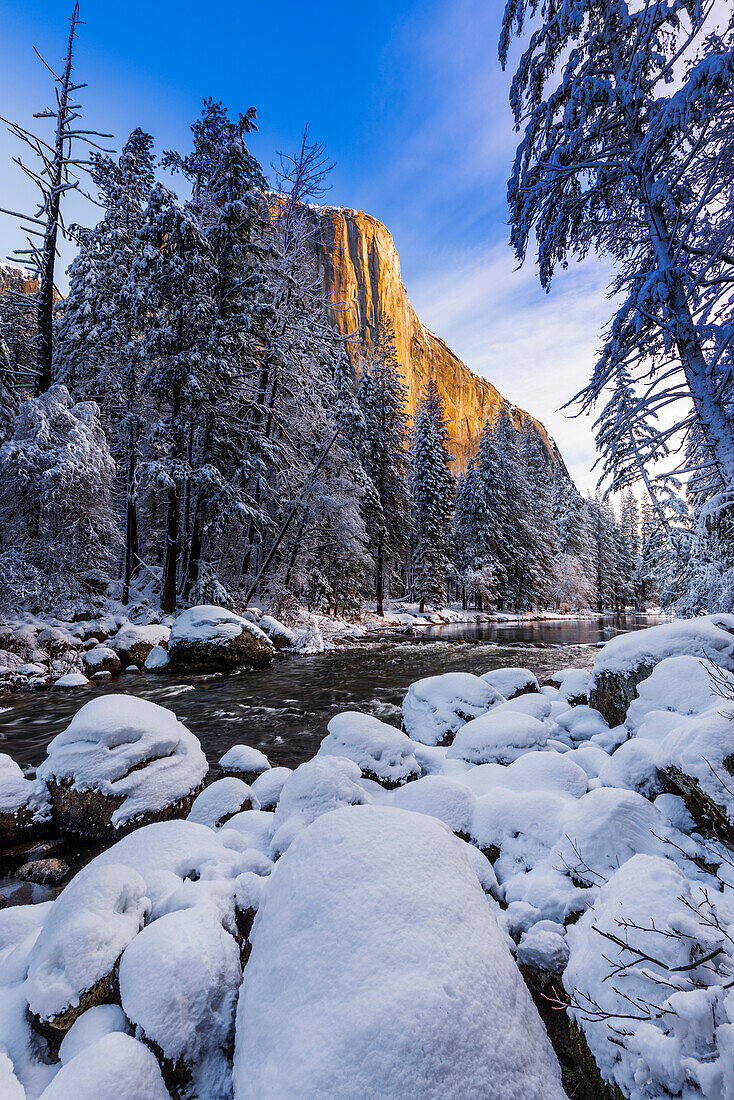 El Capitan above the Merced River in winter, Yosemite National Park, California, USA.