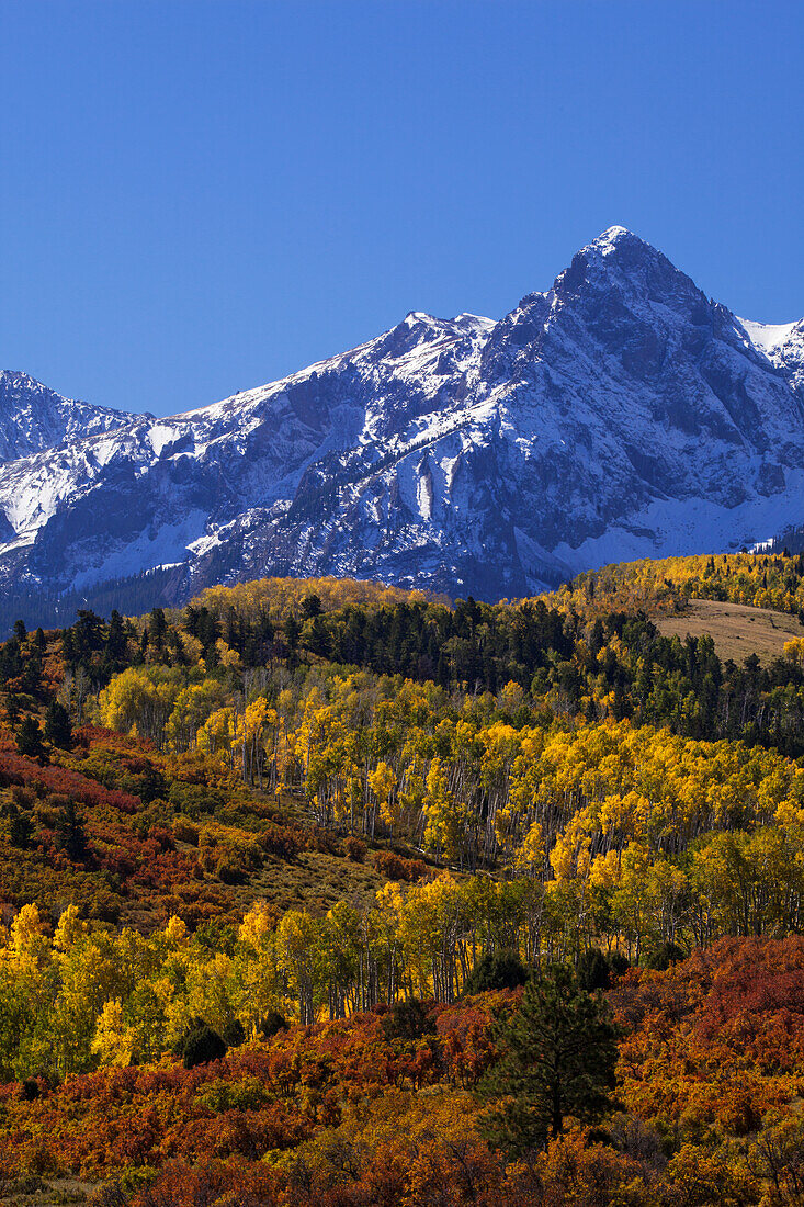USA, Colorado, San Juan Mountains. Berg und Wald im Herbst