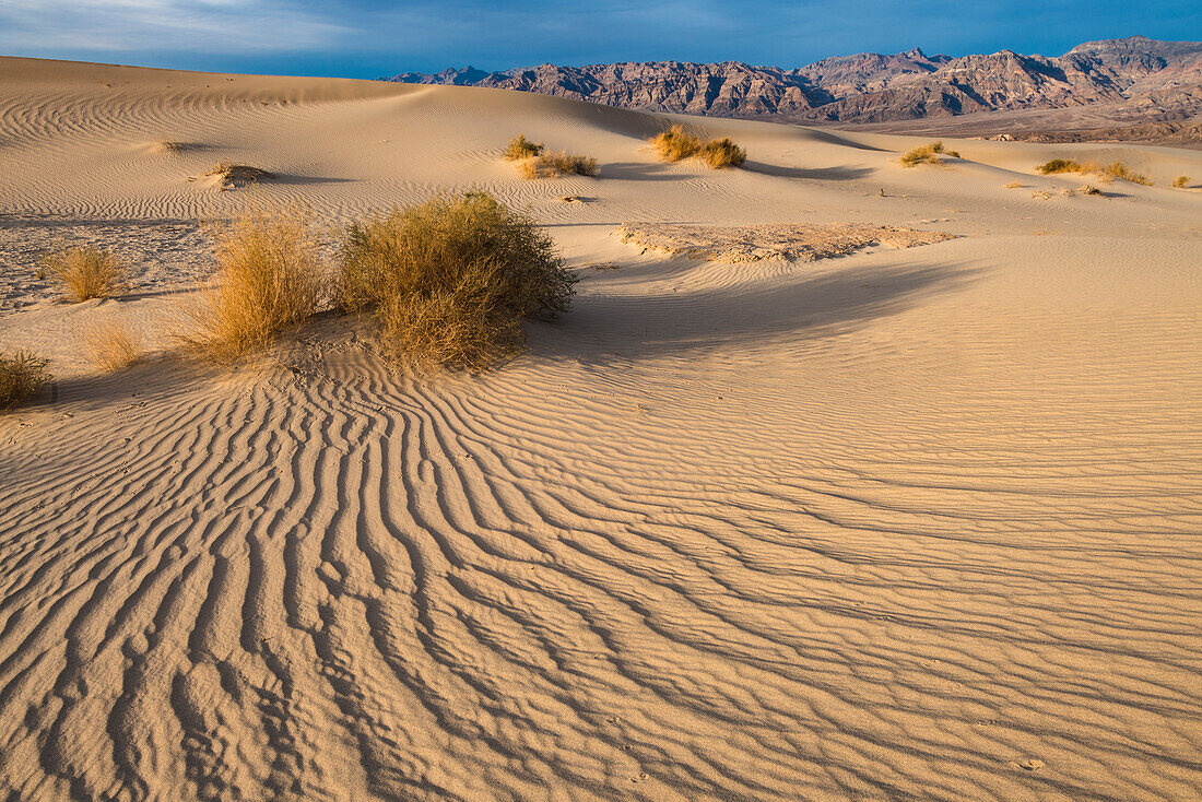 Sweeping vista of dunes, Death Valley National Park.