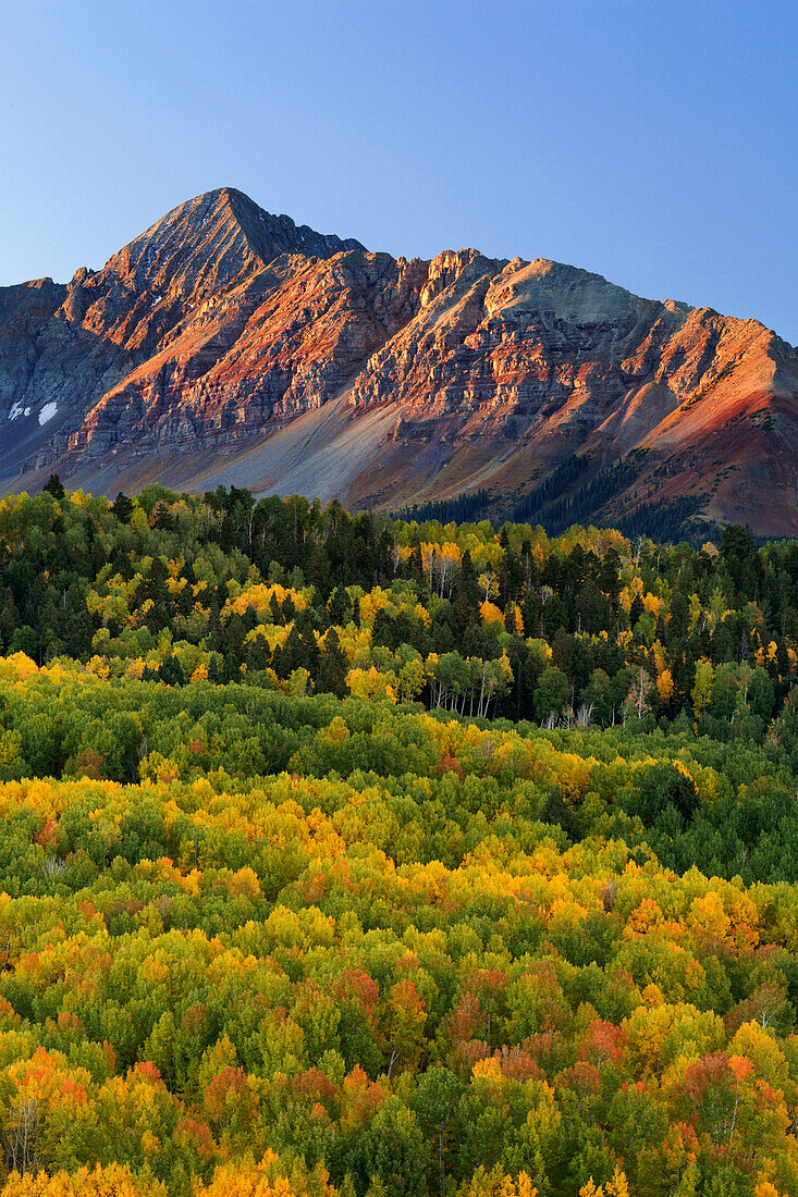 USA, Colorado, San Juan Mountains. Mount Wilson und herbstlich gefärbter Wald
