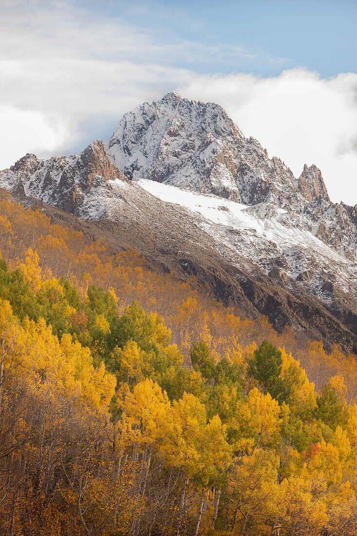 USA, Colorado, Uncompahgre National Forest. Mt. Sneffels und herbstlich gefärbte Espen